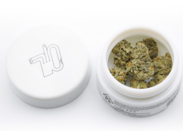 Lemon Tart Pucker #1 3.5g