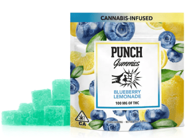 Punch - Blueberry Lemonade