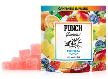 Punch- Tropical Punch